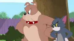 Шоу Тома и Джерри (2014) 3 сезон 34 серия