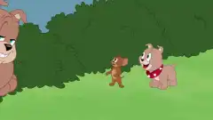 Шоу Тома и Джерри (2014) 5 сезон 37 серия