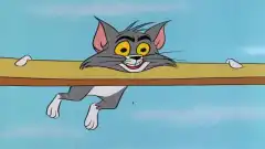 Том и Джерри (1940) 3 сезон 19 серия