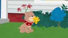 Шоу Тома и Джерри (2014) 1 сезон 12 серия